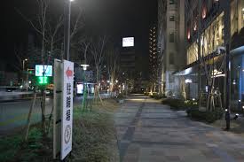 深夜散歩６個の魅力【癒しとスリルを同時に味わえる】 - 福岡散歩ブログ