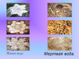 We did not find results for: Voda Dlya Poliva Zhivaya Ili Mertvaya