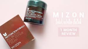 From normal and combination skin to tired dull skin and oily skin types. Mizon All In One Snail Repair Cream Review Madokeki Makeup Reviews Tutorials And Beauty