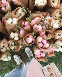 See the extended forecast for toronto, ontario, part of the southern ontario weather region. Toronto Is Hosting A Massive Outdoor Flower Market All Summer Long Outdoor Flowers Flower Market Market Flowers