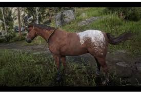 Black Bone Forest Treasure Map Rdr2 Pin Di Ann Arakaki Su Red Dead Redemption 2 Horses