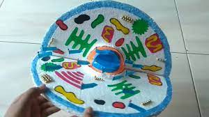 Find content updated daily for sel social emotional learning Cara Membuat Sel Hewan Dari Styrofoam Youtube