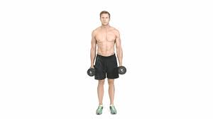 the ultimate guide to bicep curls vucut agirligi egzersizleri kol egzersizleri pazi egzersiz