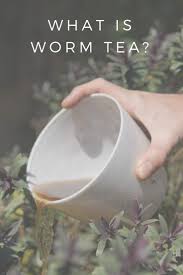 We did not find results for: How To Make Worm Tea The All Natural Boost Juice For Plants