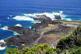 Image result for Ferraria