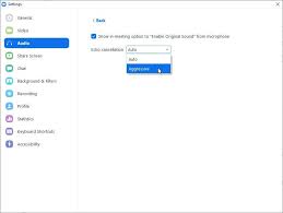 How To Lower Zoom Volume Only On Mac Or Windows: 3 Ways