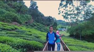 Syed nadzhan membesar membenci wanita kerana perceraian ibu bapanya. Meh Sandar Pada Aku Slot Dahlia Tv3 Home Facebook