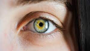 Bilhassa yaz aylarında kullanılan klima ve vantilatörden kaynaklanan hava akımlarından. Goz Kuruluguna Ne Iyi Gelir Kalorifer Peteginizin Ustune Su Koyarsaniz Saglik Haberleri