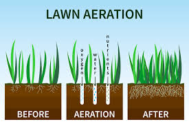 Core aeration combines the soil and thatch together deposited on top of the lawn to filter down with soil organisms to speed up the decay of the thatch layer. How Why To Aerate Your Lawn This Fall For A Better Yard Next Year