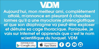 Epingle Par Samantha Sur Vdm Sms Droles Blague Citation Humour