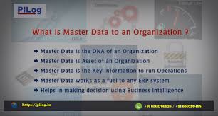 Master Data Dictionary Pilog India Https Pilog In Masterdatamanagement Databases Data Governance Masterdatagove Master Data Management Data Management