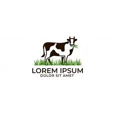 Cow Farm Logo Cow Logo Farm Logo Farm Logo Design