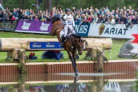 The welfare of the horse is paramount. Ingrid Klimke Operiert Equestrian Worldwide Pferdesport Weltweit Eqwo Net