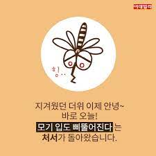 입추가 지나고, 말복이 다가와오고 이후엔 처서죠. ì ˆê¸°ë§¤ì§ ì˜¤ëŠ˜ì€ ì²˜ì„œ ëª¨ê¸°ê°€ ìž… ëŒì•„ê°„ ì‚¬ì—°ì€