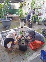 Beli aneka produk pot paralon online terlengkap dengan mudah, cepat & aman di tokopedia. Pot Vertikultur Tower Hidroponik Tower Vertikultur Tower Hidroponik Hidroponik Pemula Paket Hidroponik Lengkap Pot Vertikultur Pipa Vertikultur Vertikultur Paralon Lazada Indonesia