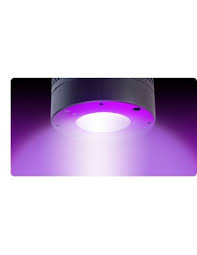We did not find results for: Kessil H380 Led Grow Light Kop Till Basta Pris Hos Drakfisken