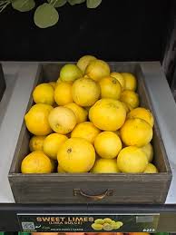 Image result for Citrus Gold 2001 Puma