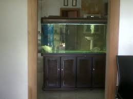 Ada berbagai unsur yang sesuai dan tepat untuk sekat ruangan?. Aquarium Sebagai Pembatas Ruangan Tribun Medan