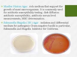 In addition, 5% v/v egg yolk emulsion can be added to a medium which enables the detection of lipase activity of staphylococci along with mannitol fermentation. Media Preparation Sterilization V A Medium Is Sterilized