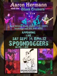 Profile for Aaron Hermann and the Blues Cruisers