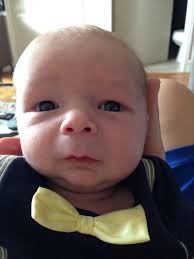 Laura B. Fine (@laurabfine)