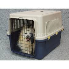 Check spelling or type a new query. Dog Crates Small Airline Travel Approved Vebo Pet Supplies Australia