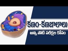 Cell Biology Biology Telugu Medium Youtube