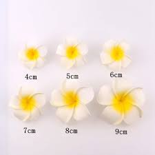 10pcs 4 9cm Mini Frangipani Decorative Flower Artificial Foam Plumeria Flowers For Diy Party Wedding Decoration Plumeria Flowers Flower Decorations Diy Flowers