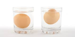 How to tell if eggs are off water test. How To Tell If Your Eggs Are Off Australian Eggs