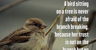 This was displayed in the part that read, because her trust is not on the branch but on it's own wings. the last part of the quote, always believe in. A Bird Sitting On A Tree Is Never Afraid Of The Branch Breaking Because Her Trust Is Not On The Branch But On It S Wings Always Believe In Yourself