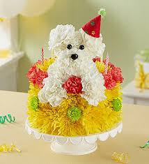 There are many kinds of flower just like as rose, tulips, lilies, orchids etc.by using those kinds of flower you can celebrate a birthday party. Birthday Wishes Flower Cake Pupcake Conroy S Flowers Inglewood
