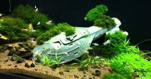 Harry Potter Fish Tank Google Search Cool Fish Tanks Fish Tank Cool Fish