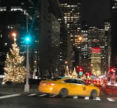 As They Re Putting Up The Christmas Lights On Park Avenue I Shall See My Daydreams Walking By With Dogs In Blankets Park Avenue Ne Wyork City Walking By