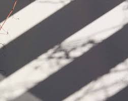 Deasia watkins crime photos