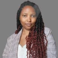 300+ "Bowens" profiles