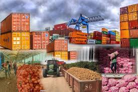 M/S Amarjeet Singh Agro Products Supplier