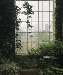 I follow #plant aesthetic #gardenblr #garden aesthetic & #houseplants. Emily I Started Off This Semester Tired So It S Only
