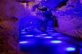 Welcome to the fantastic world of xenses. 6ptdwqjj3thl8m