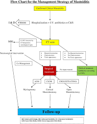 Image result for Mastoiditis
