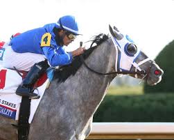 Nbc, as the official broadcaster of the 2021 ky derby is available in the fubotv package. Road To The 2021 Kentucky Derby Blue Grass Stakes Analysis