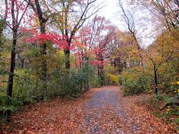 Knoop Park Little Rock Country Roads Favorite Places Nature
