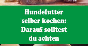 Hundefutter Selber Kochen Auf Was Sie Dabei Achten Sollten Hundefutter Selber Kochen Hunde Futter Hundefutter