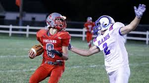 Ohio High School Football Division VII All-State teams