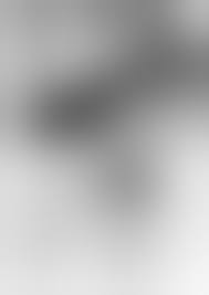 催淫コミケ [TOZAN:BU(富士やま)] オリジナル - 同人誌のとらのあな成年向け通販