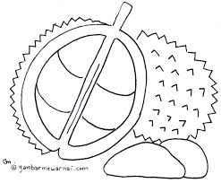 Mewarnai Buah Durian Gambar Mewarnai Buku Mewarnai Gambar Gambar Kartun