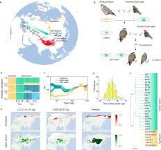 Arctic introgression and chromatin regulation facilitated rapid  Qinghai-Tibet Plateau colonization by an avian predator | Nature  Communications