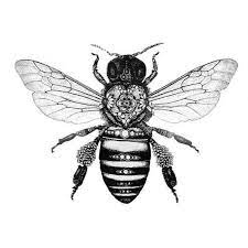 Pin On Bee