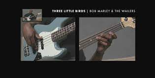 Whatever you want to get out of your bass guitar, the acoustic bass has the versatility to provide it. 10 Easy Bass Songs For Beginners Beginner Bass Songs Fender