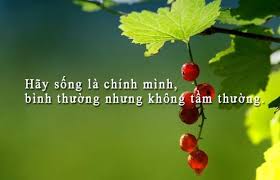 Kết quả hình ảnh cho status hay