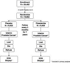 What can we help you find? Implementation Of The Prostate Cancer Prevention Trial Pcpt Sciencedirect